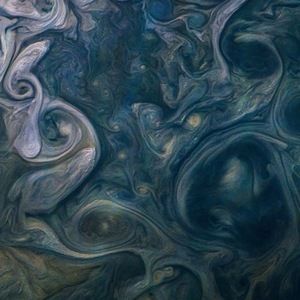 Meet your Posher, Austin bostin